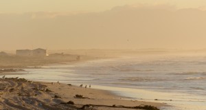 muizenberg beach early morning mist 