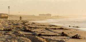 muizenberg beach early summer morning 