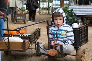 shopping for vegetables      