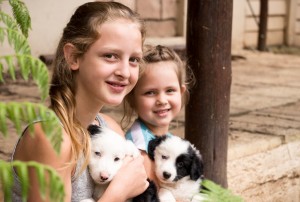 sisters with sheep dog puppies      
