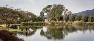 fishing_lesson-01_1220                           