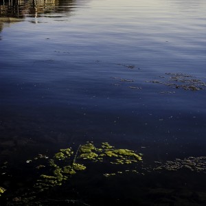 pecanwood distant home                               